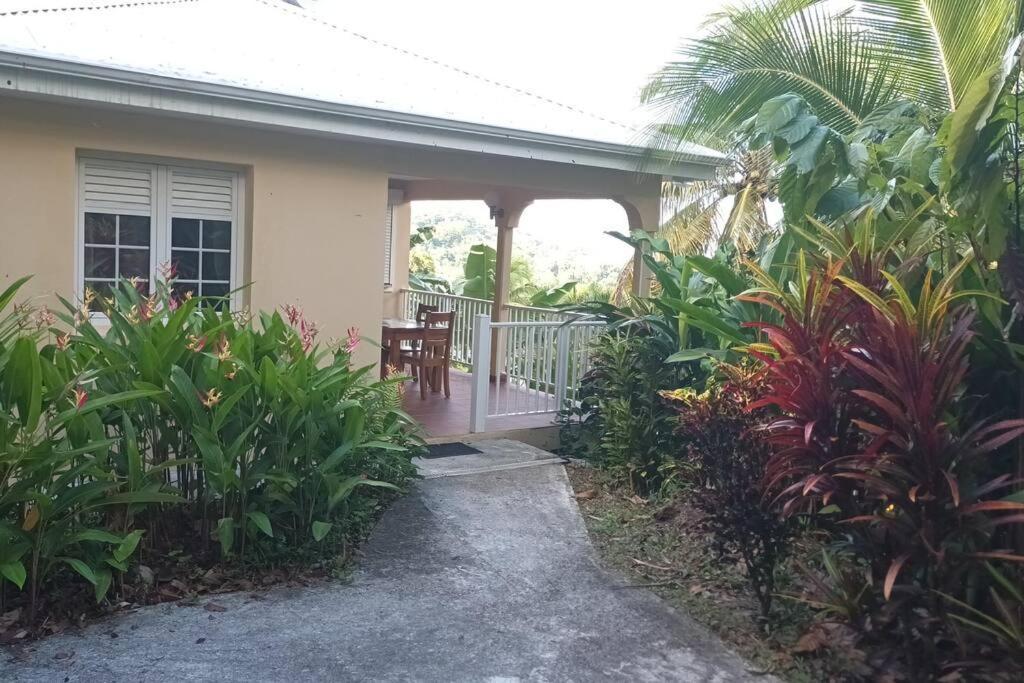Martinique La Petite Maison Dans La Colline Le Lamentin Esterno foto