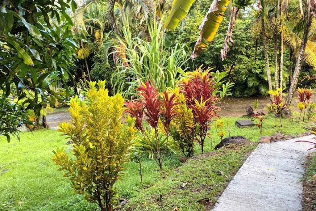 Martinique La Petite Maison Dans La Colline Le Lamentin Esterno foto