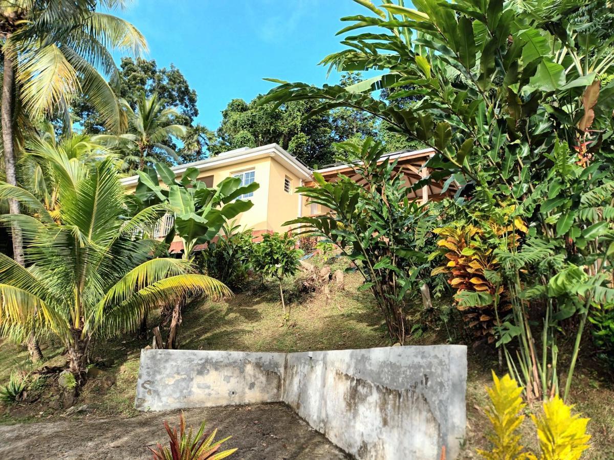Martinique La Petite Maison Dans La Colline Le Lamentin Esterno foto